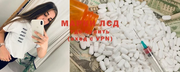 прущая мука Вяземский