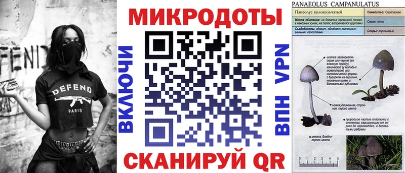 Купить где  Теберда  Галлюциногенные грибы мицелий 